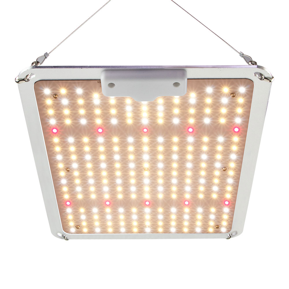 Quantum Board Dimmable Grow Light 110W